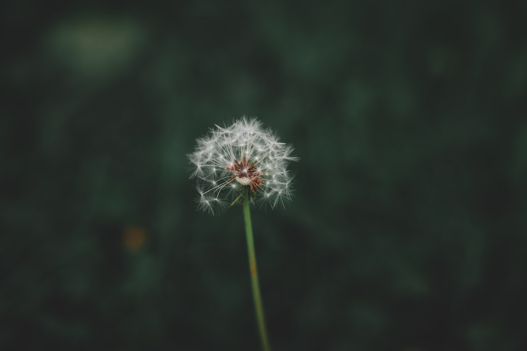 Hello There: A Deep Dive into the Ubiquitous Greeting