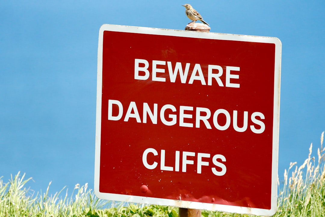 Cyber Safety for Kids: A Parent’s Guide to Protecting Children Online in Australia